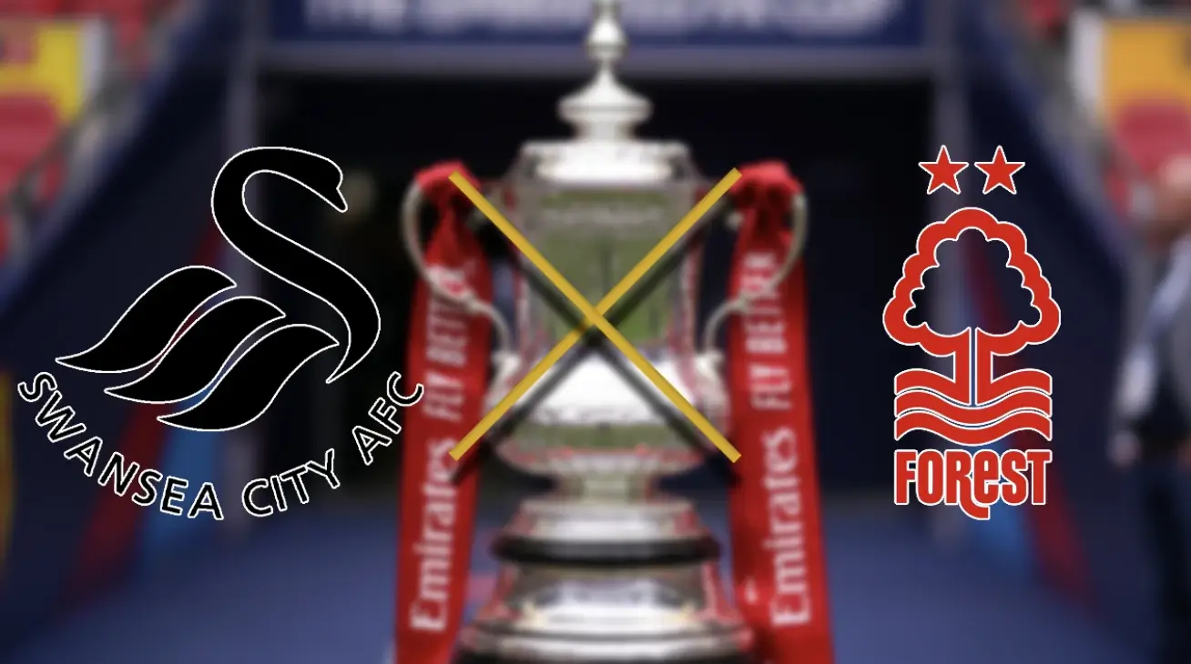 Swansea vs Nottingham: Jadwal Siaran Langsung