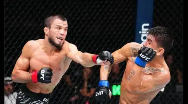 Umar Nurmagomedov Kalahkan Bautista di UFC 321